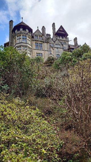 Looking up to Cragside
